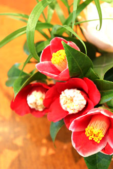 f0075847_16211718.jpg