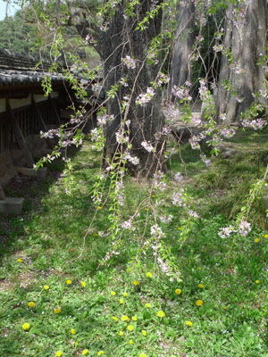 c0206051_04706.jpg