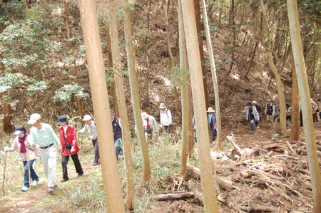 c0108460_0463618.jpg