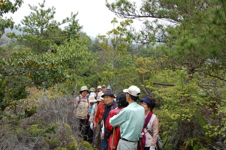 c0108460_047535.jpg