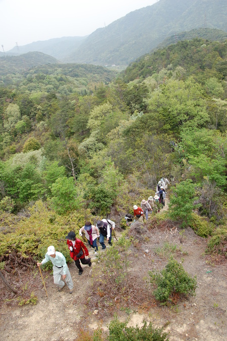 c0108460_0494232.jpg