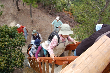 c0108460_05162.jpg