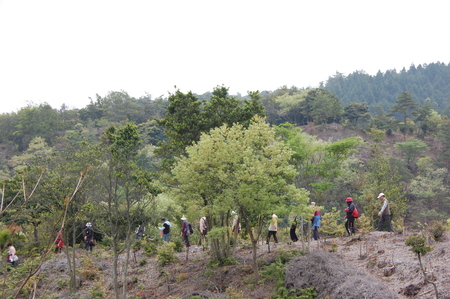 c0108460_053851.jpg