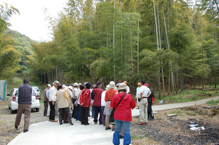 c0108460_1582545.jpg