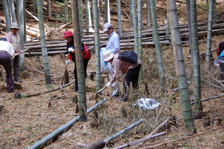 c0108460_1594151.jpg