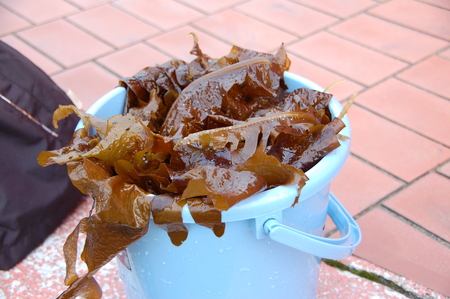 c0108460_2125077.jpg