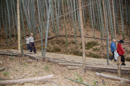 c0108460_254631.jpg