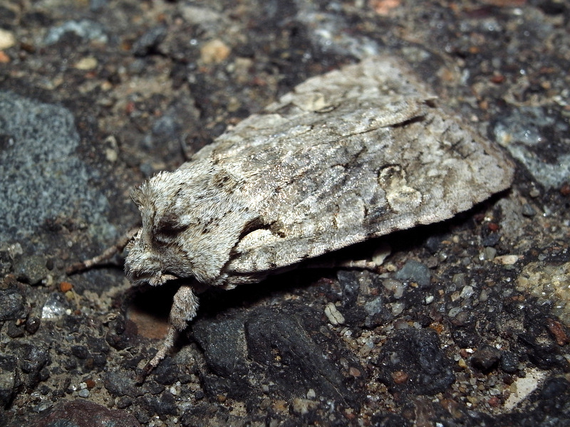 b0130166_20315945.jpg