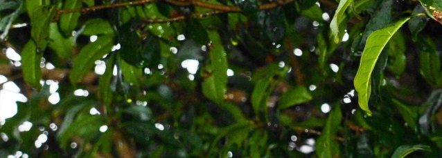 d0168567_17201486.jpg