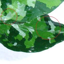 d0249970_3272637.jpg