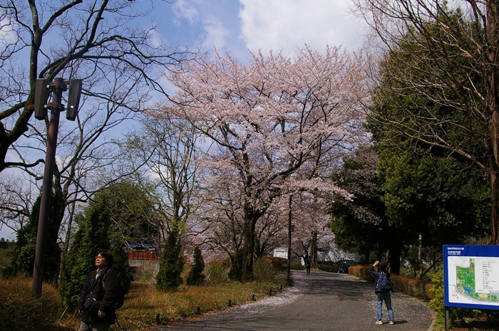 d0031171_2021866.jpg