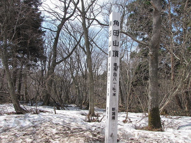 a0191674_1726312.jpg