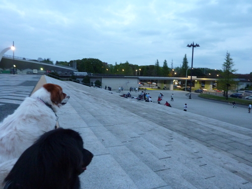 e0207477_0121314.jpg