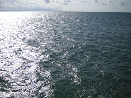 a0228480_1345828.jpg