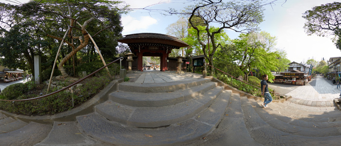 d0089281_36035.jpg