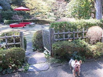 e0123587_2038964.jpg