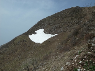 e0271890_9103050.jpg