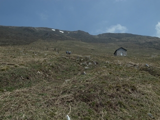 e0271890_972121.jpg