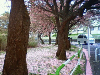 f0018790_1433724.jpg