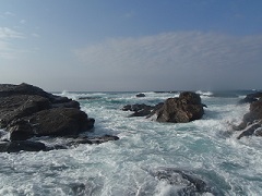 f0069890_23134788.jpg