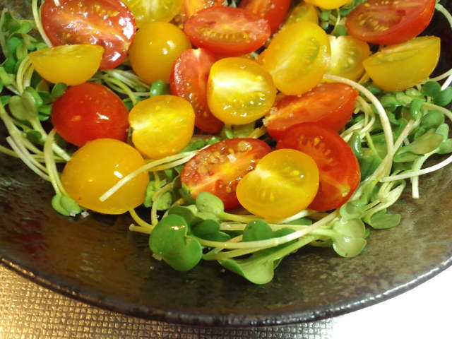 f0077595_192492.jpg