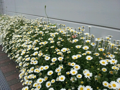 d0239796_914316.jpg