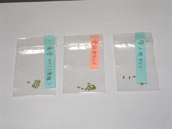 e0189298_22455124.jpg
