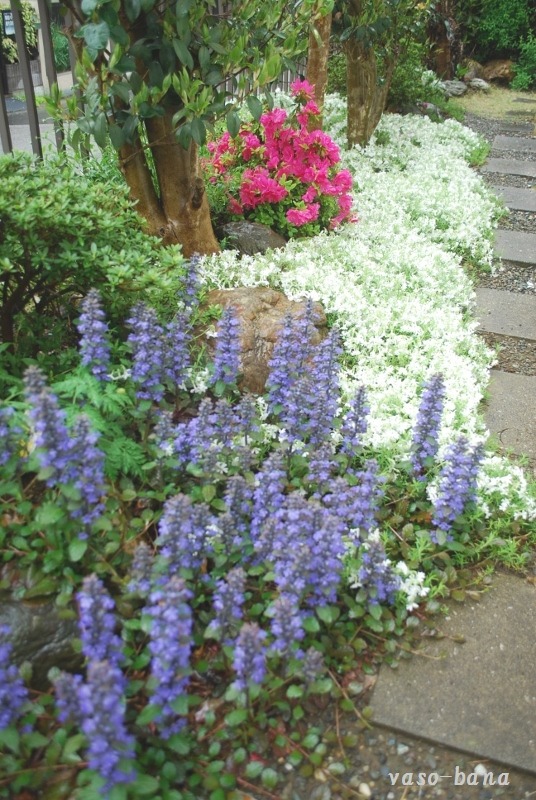 e0025300_15304838.jpg