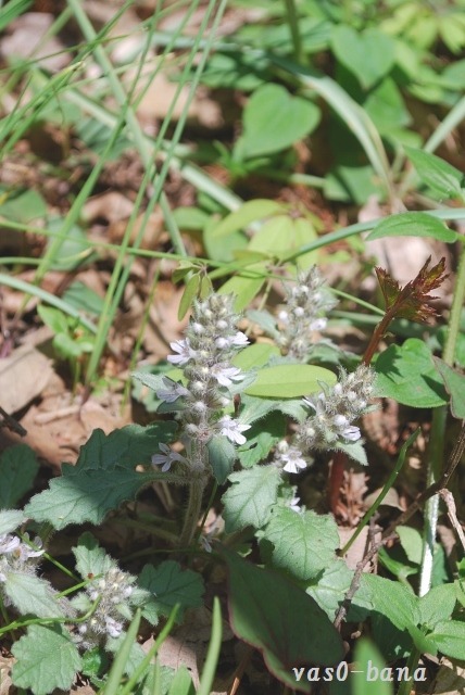 e0025300_15374743.jpg