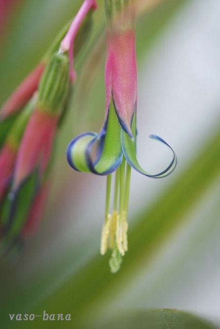e0025300_15501673.jpg