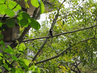 c0152002_19112778.jpg