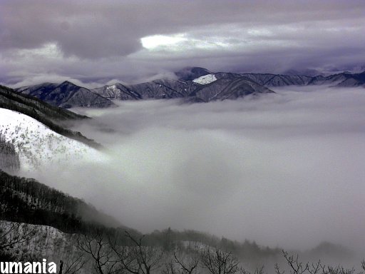 b0061004_1232516.jpg