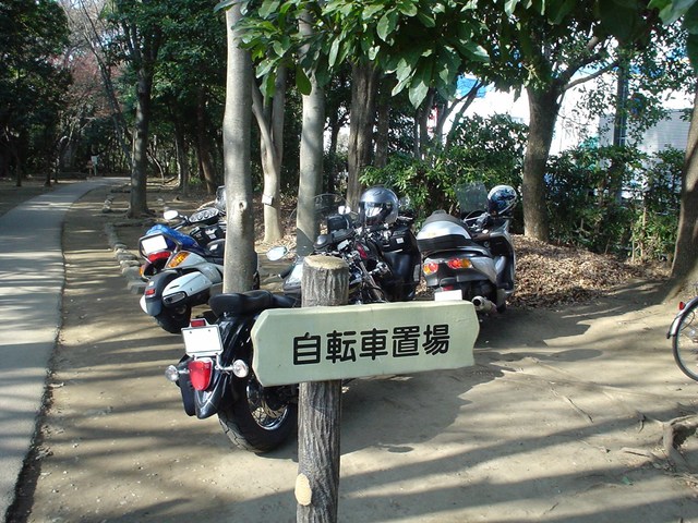 a0116205_21464159.jpg