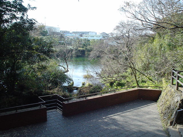 a0116205_21465825.jpg