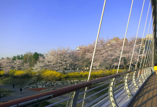 e0200811_2348158.jpg