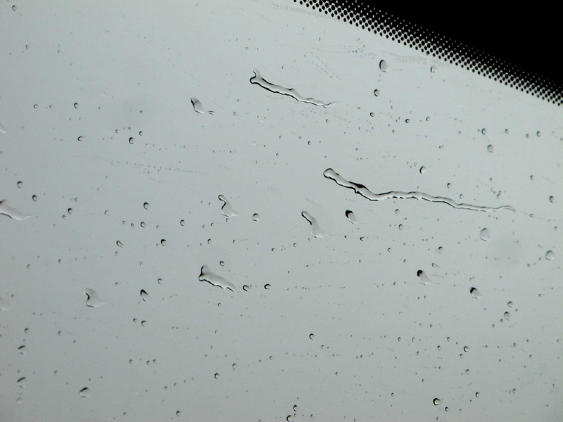 a0101715_949696.jpg