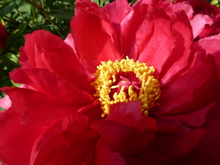 c0042418_14151497.jpg