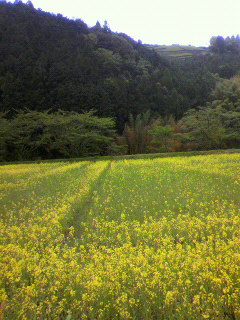 f0036223_18585785.jpg