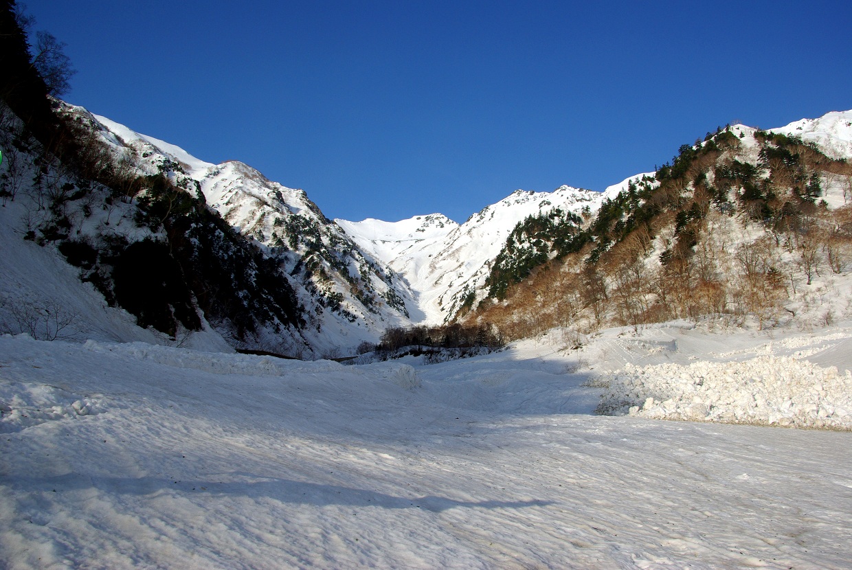 b0062024_9335719.jpg