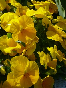 a0118928_23203073.jpg