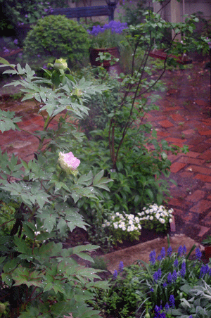 d0140329_9352337.gif