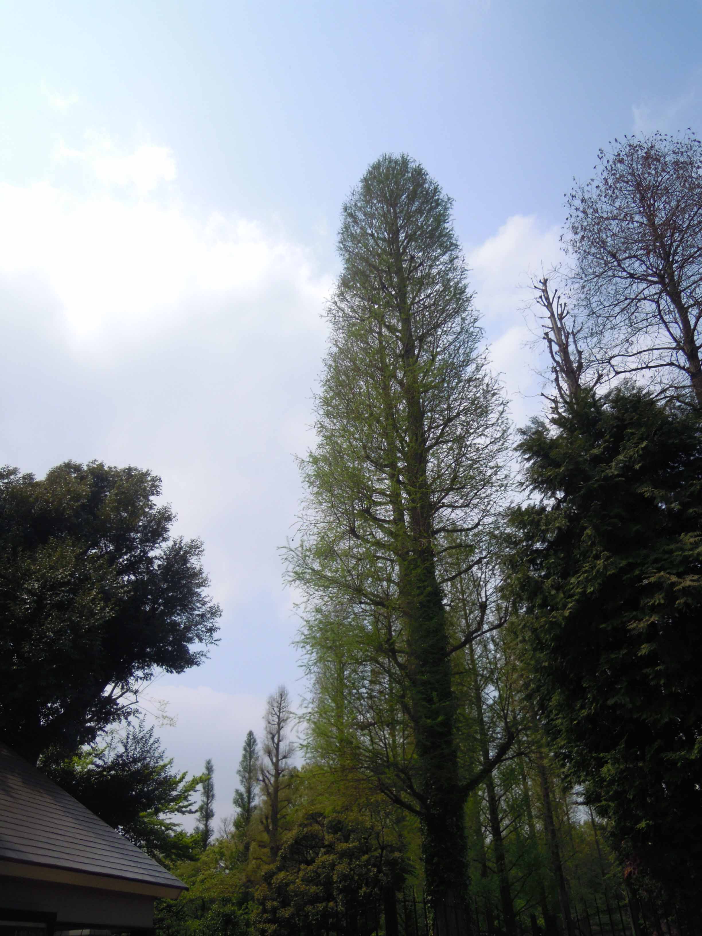 e0256436_2063594.jpg