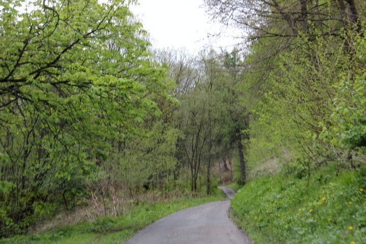 c0153740_1985581.jpg