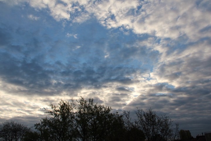 c0153740_198990.jpg