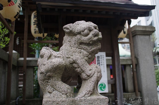 a0009142_024660.jpg