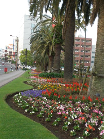 b0199742_234639.jpg