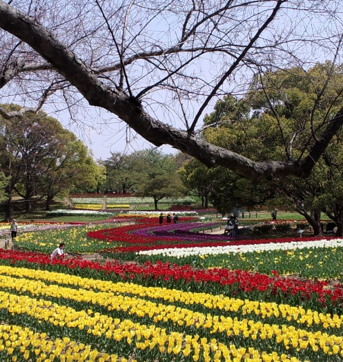 c0236542_1811147.jpg