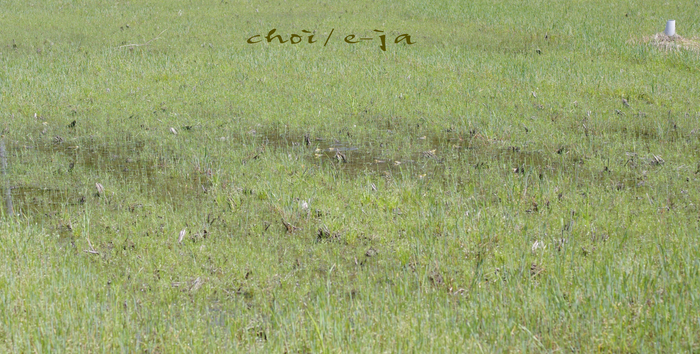 c0243343_21172244.jpg