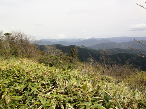 c0179351_11112068.jpg