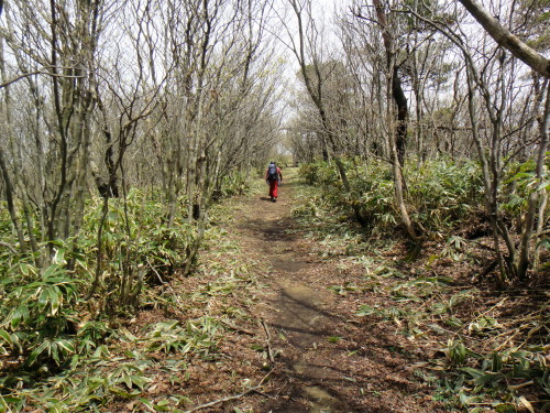 c0179351_1183333.jpg
